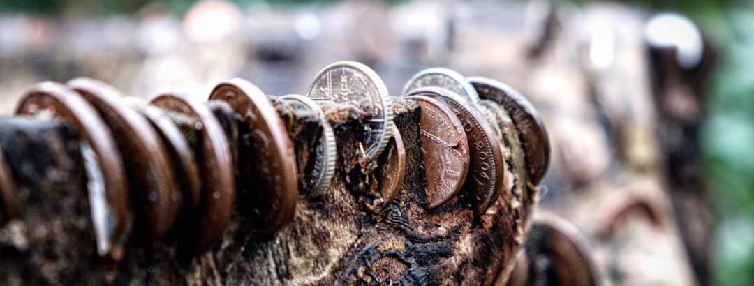 Growing Money From Tree Stump Growing Money From Tree Stump